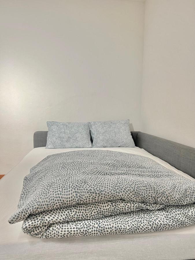 Appartamento Per 4 Persone Rudolfstetten 外观 照片